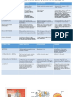 Cuadro Comparativo Sobre La Estructura y Función de Las Celulas Del Sistema Nervioso