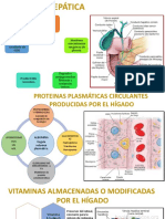 Histologia Del Higado