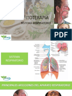 Fitoterapia y Sistema Respiratorio