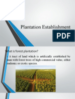 Plantation Establishment