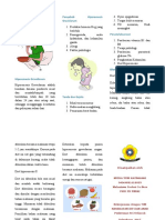 Leaflet Hiperemesis Gravidarum