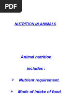 Nutrition in Animals