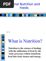 Animal Nutrition and Feeds