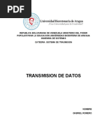 Tipos de Transmisión de Datos