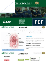 Examen Fisico Segmentario