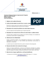 Formato No 18 Plan de Trabajo de Auditoria Financiera