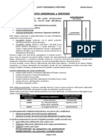 Anatomia Peritoneo