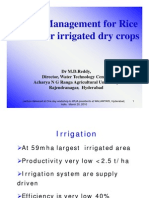 Water Management For Rice and Other Irrigated Dry Crops