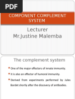 Complement System Eden