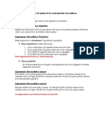 Medios de Unión de La Articulación Sacroilíaca23