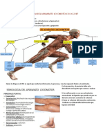 Semiologia Del Apararato Locomotor 30