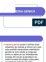 11 - Ingineria Genică