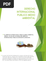 Derecho Internacional Publico Medio Ambiental