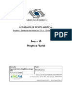 Anexo 10. Proyecto Fluvial