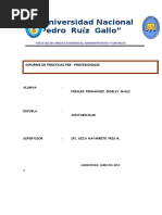 Informe Final de Pacticas