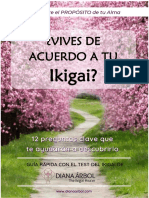 Guía Rápida Test Del Ikigai Optimized PDF