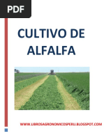 Cultivo de Alfalfa 1 PDF