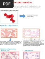 Variaciones Cromáticas