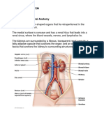 THE URINARY SYSTEM Anatomy and Physiology