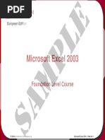 Microsoft Excel 2003: Foundation Level Course