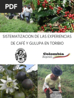 INFORME FINAL - Sistematizacion Cafe Gulupa PDF