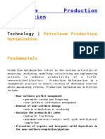 Petroleum Production Optimization: Technology