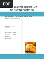 Diseno de Sistema de Riego para Una Plantacion de Mandarina