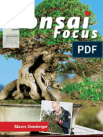 Bonsai Focus - Septiembre-Octubre 2016 PDF