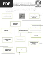 Tripas de Gato Práctica Cloretona