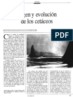 Origen y Evolución de Los Cetaceos PDF