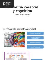 Asimetría Cerebral