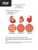 Generalidades Del Sistema Muscular