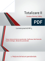 Totalizare 2