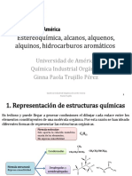 Segundo Corte Orgánica