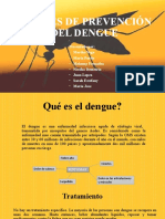 Niveles de Prevención Del Dengue