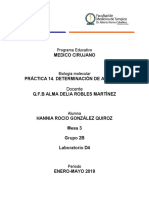 P14. Determinación de Albúmina