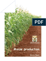 Maize Production