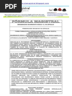 BICARBONATO 1 G 100 CÁPSULAS PDF