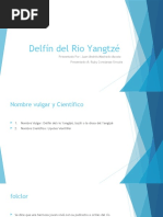 Delfín Del Rio Yangtzé