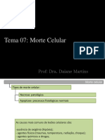 Tema 07 - Morte Celular
