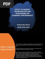 Effect of Market Segmentation and Positioning On Company Performance - CASE STUDY