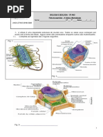 Ficha de Exercicios Célula e Biomoléculas