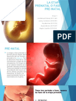 La Etapa Prenatal o Fase Pre-Natal