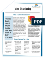 Executive Functioning Strategies