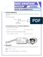 Término Algebraico para Primero de Secundaria