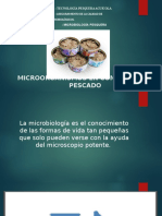 Microorganismos en Conservas de Pescado