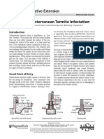 Signs of Subterranean Termite Infestation