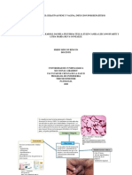 Enfermedades Ulcerativas Pene y Vagina, Infeccion Por Hepatitis B