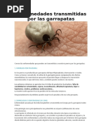 Enfermedades Transmitidas Por Las Garrapatas