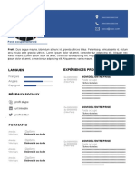 121 Modele CV Pour Travailler